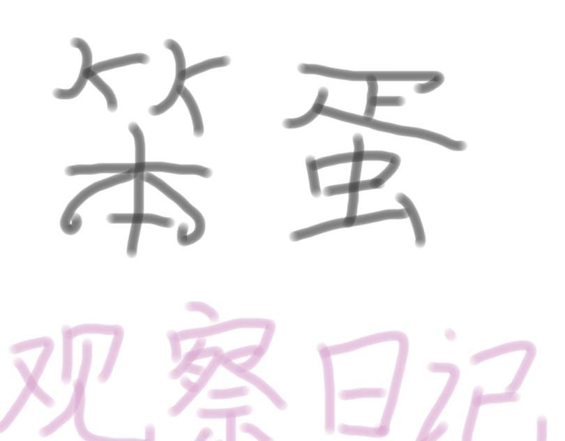 笨蛋观察日记