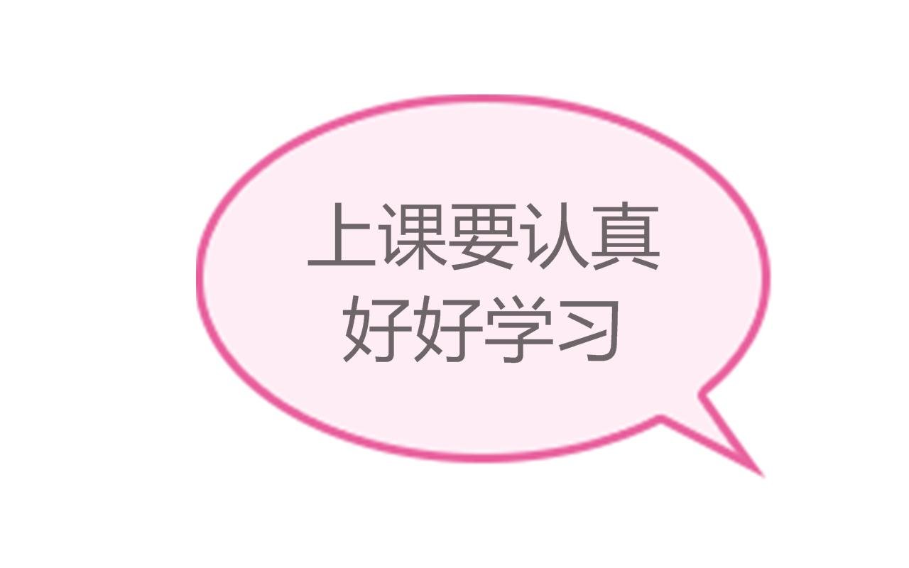 笨蛋观察日记