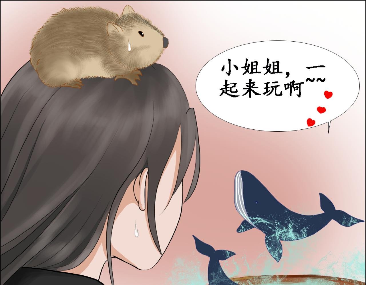 缔结契约