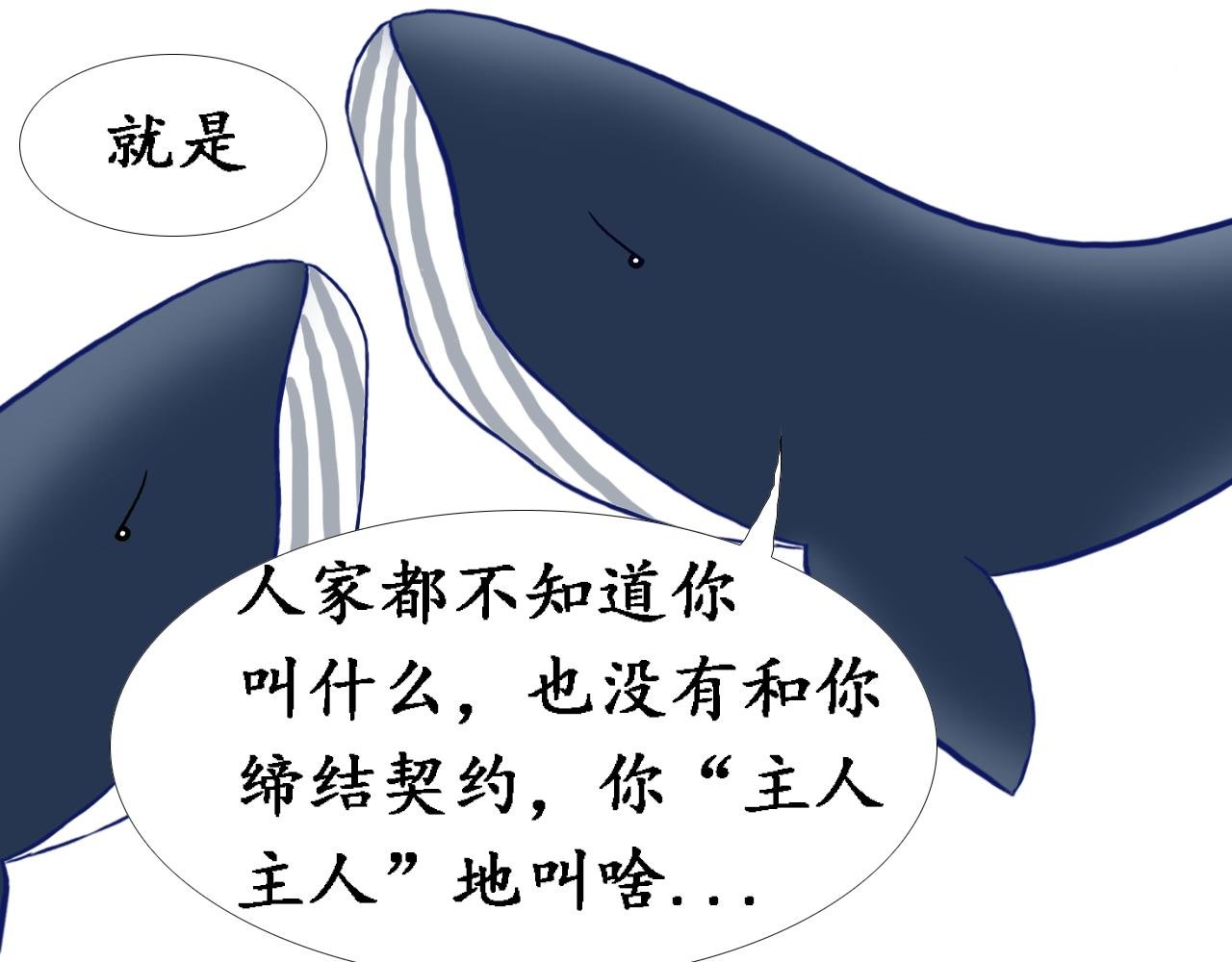 缔结契约