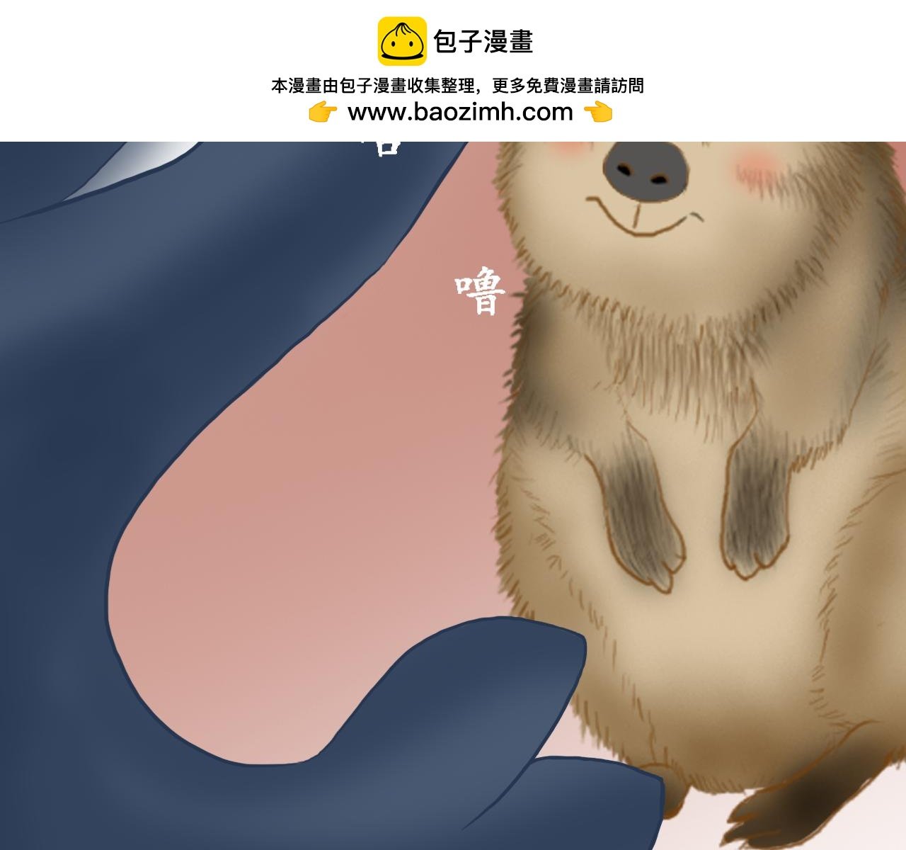 缔结契约