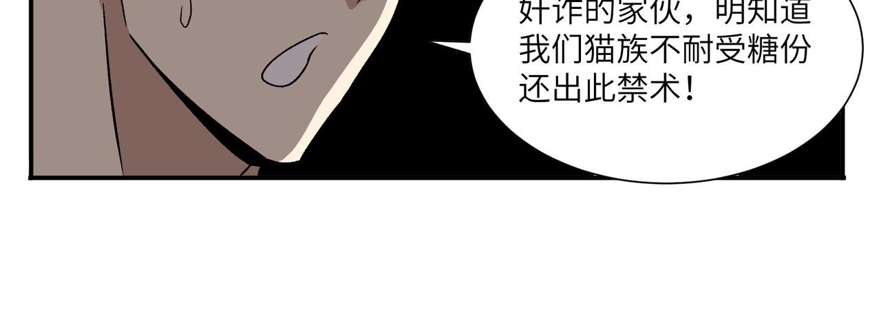 打工的金猫神