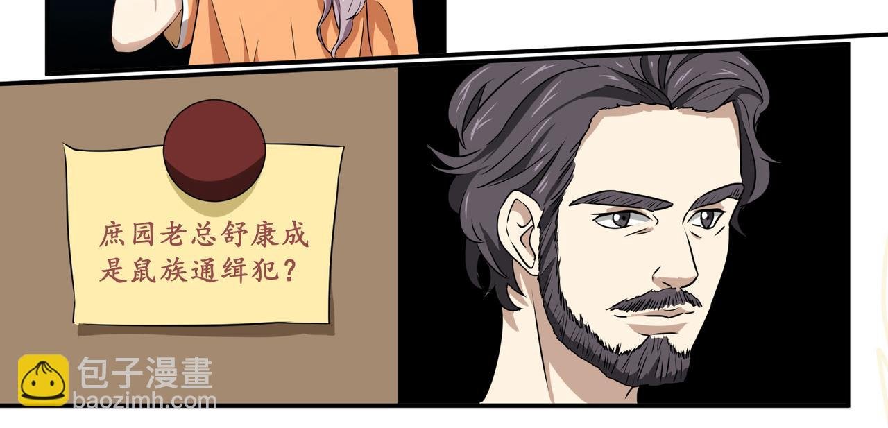 打工的金猫神