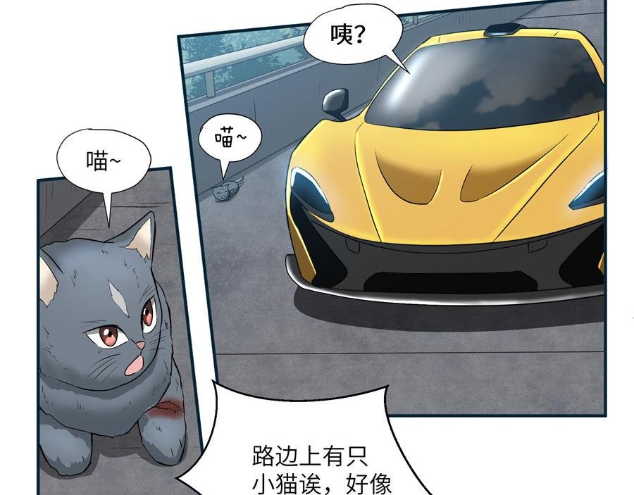猫捉奸
