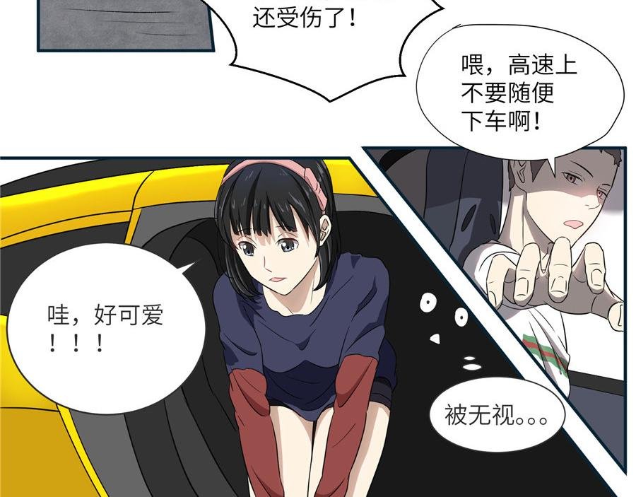 猫捉奸