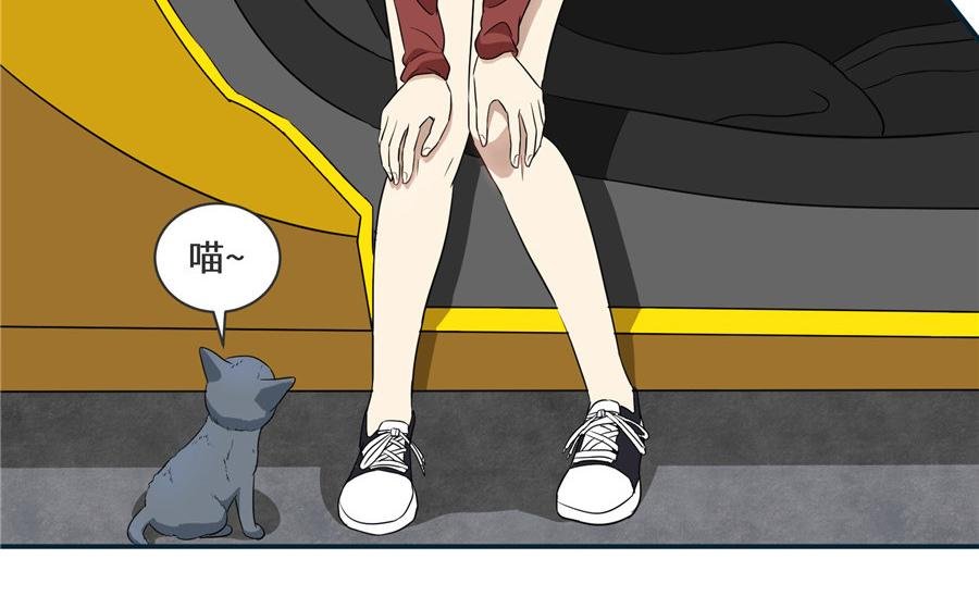 猫捉奸