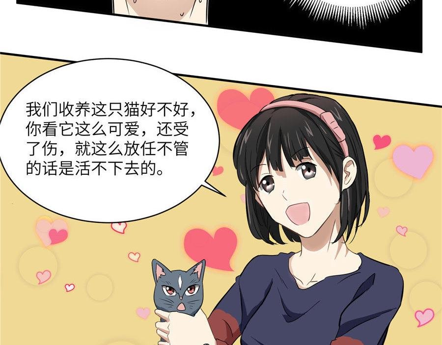 猫捉奸