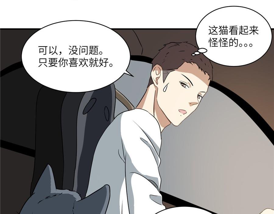 猫捉奸