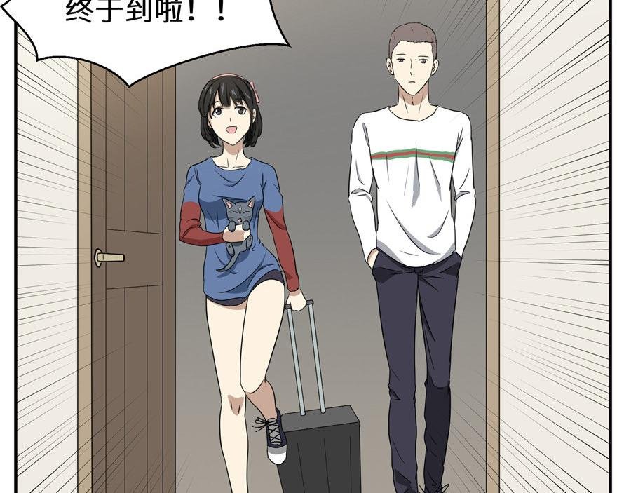 猫捉奸