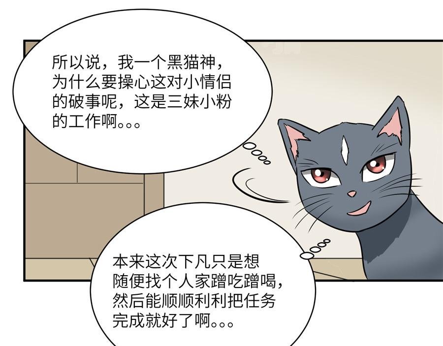 猫捉奸