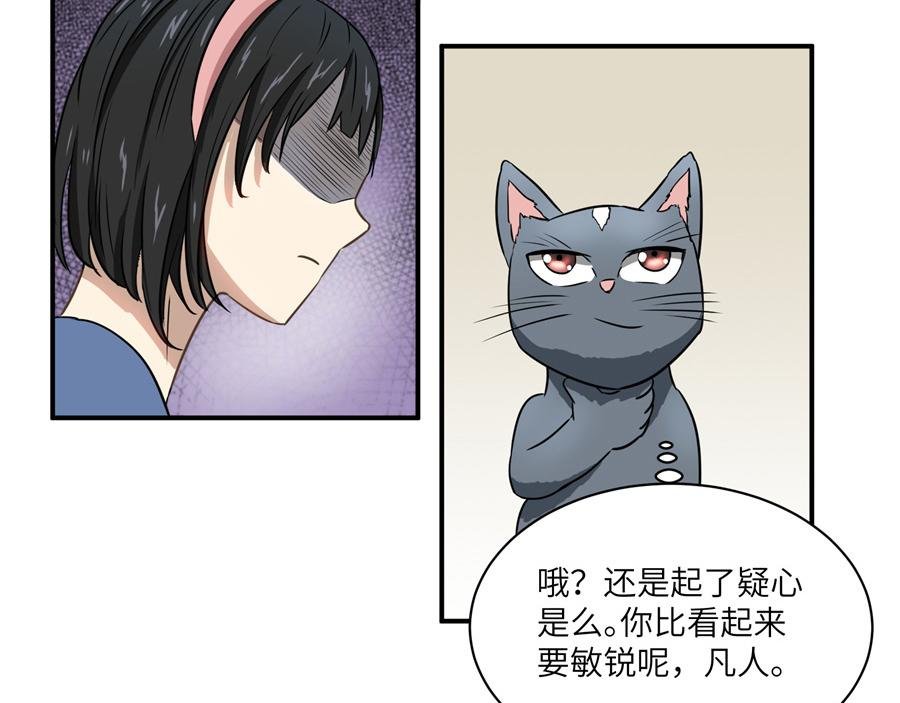 猫捉奸