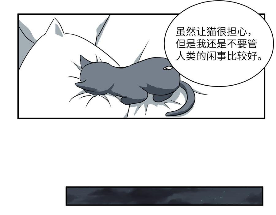 猫捉奸