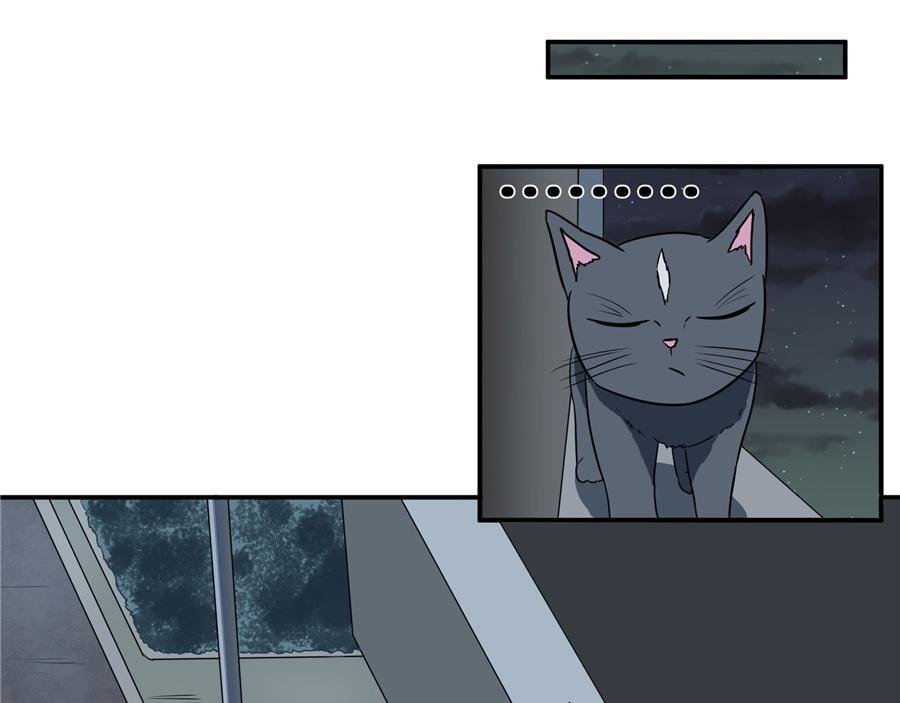 猫捉奸