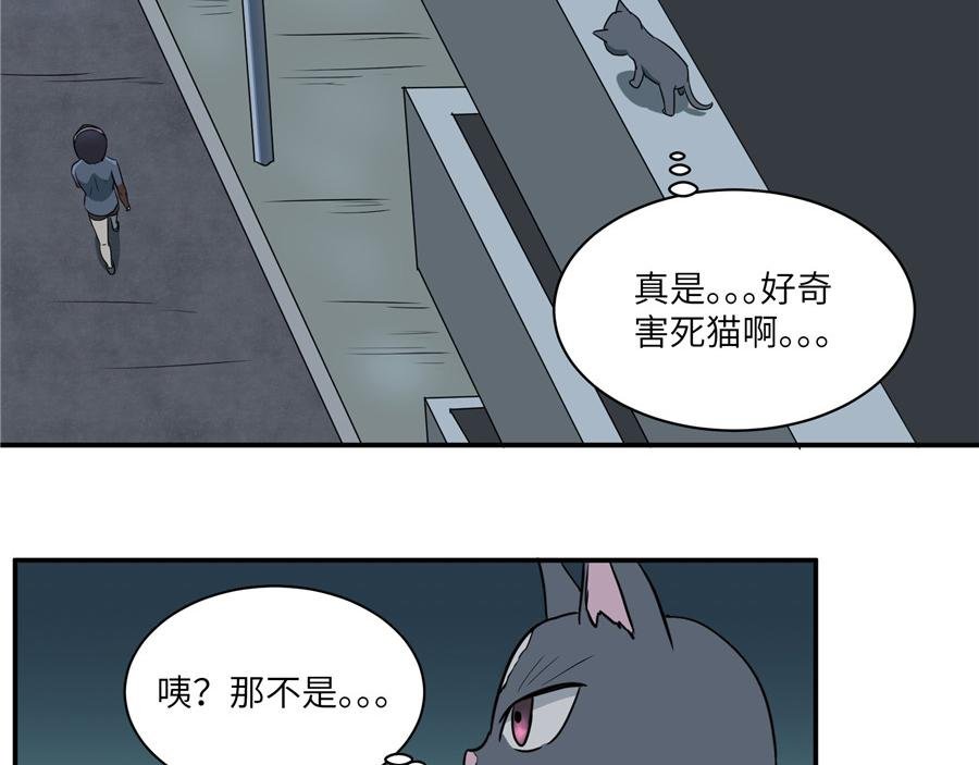 猫捉奸