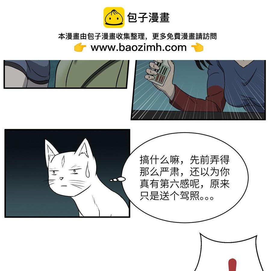 猫捉奸