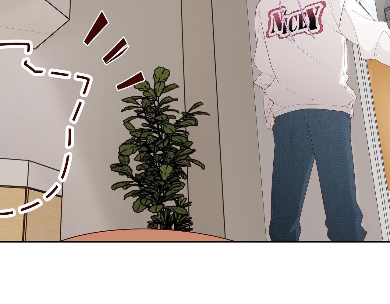猫咪彩虹出逃！！