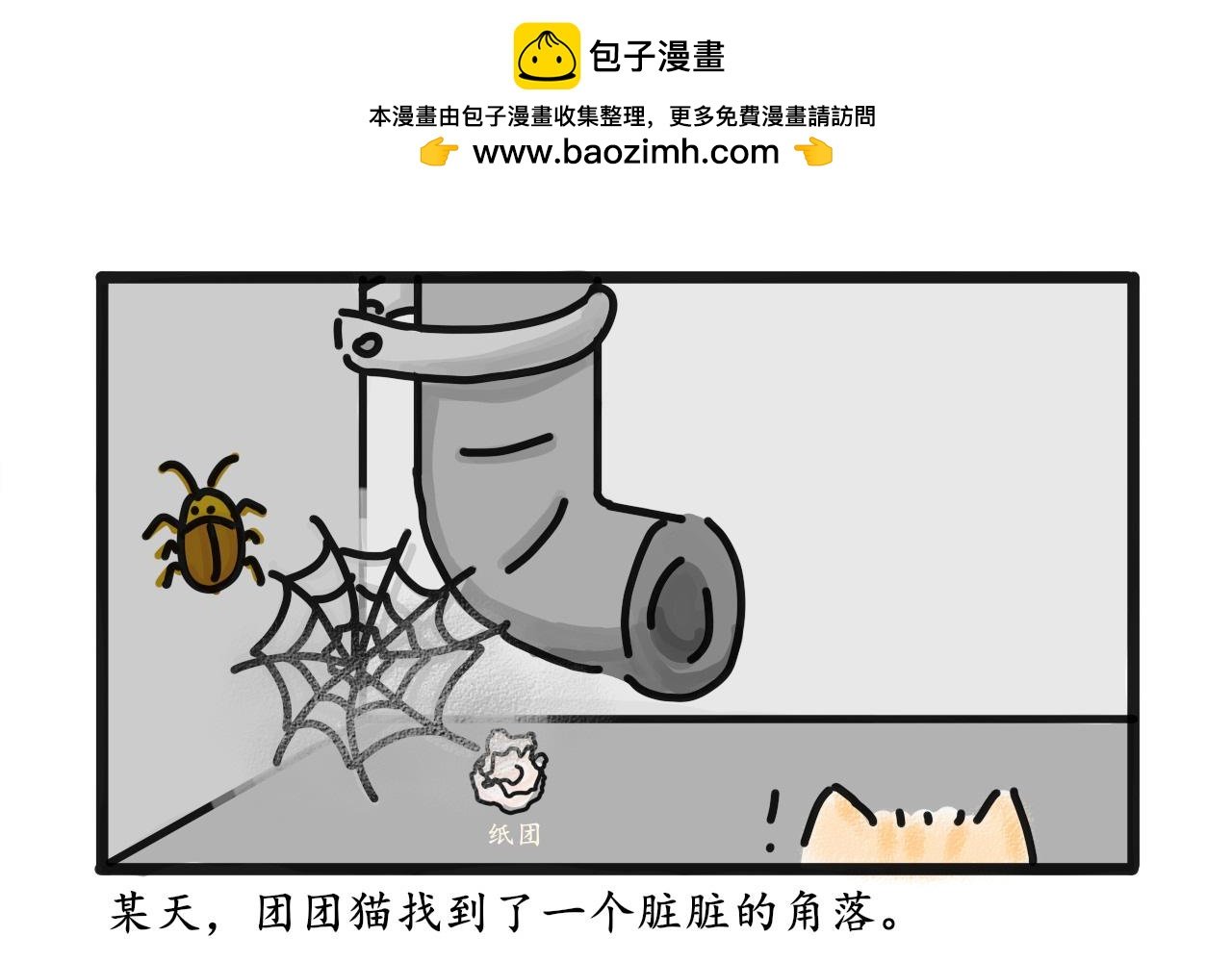 猫毛事件