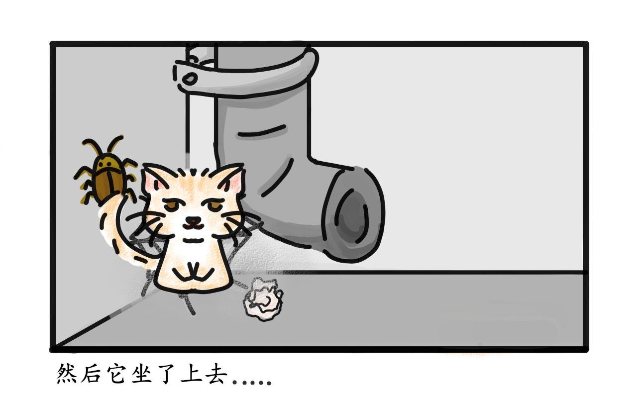 猫毛事件