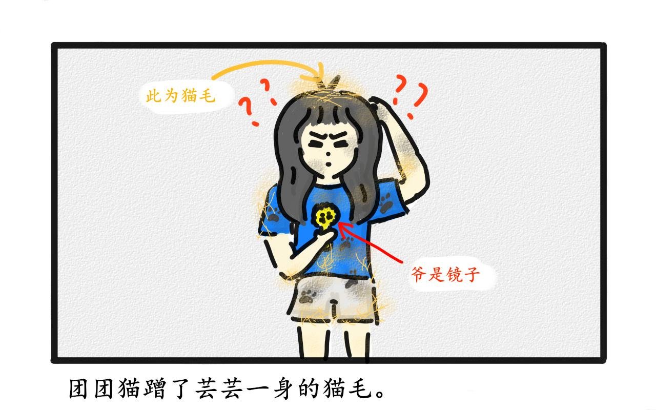 猫毛事件