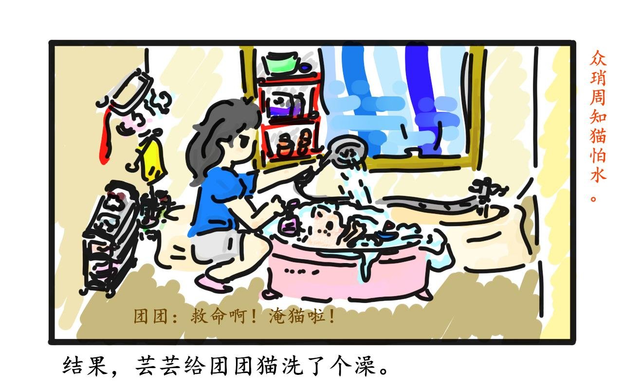 猫毛事件