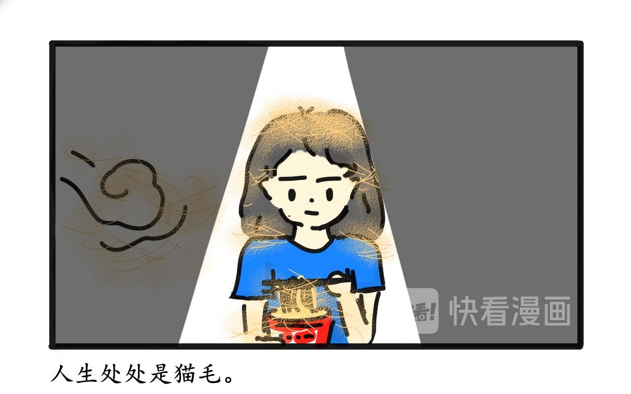 猫毛事件