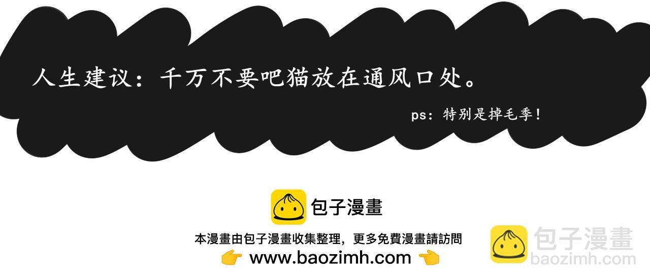猫毛事件