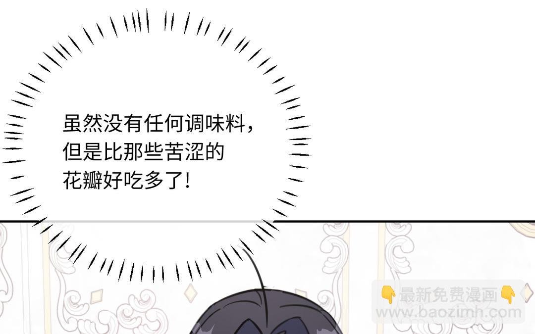 第9话 玫瑰蛋糕