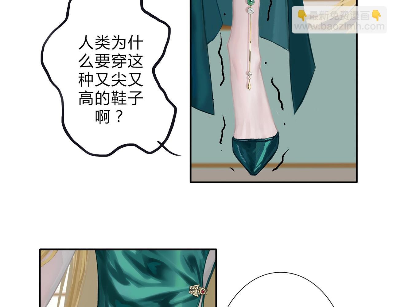 入网的蝶