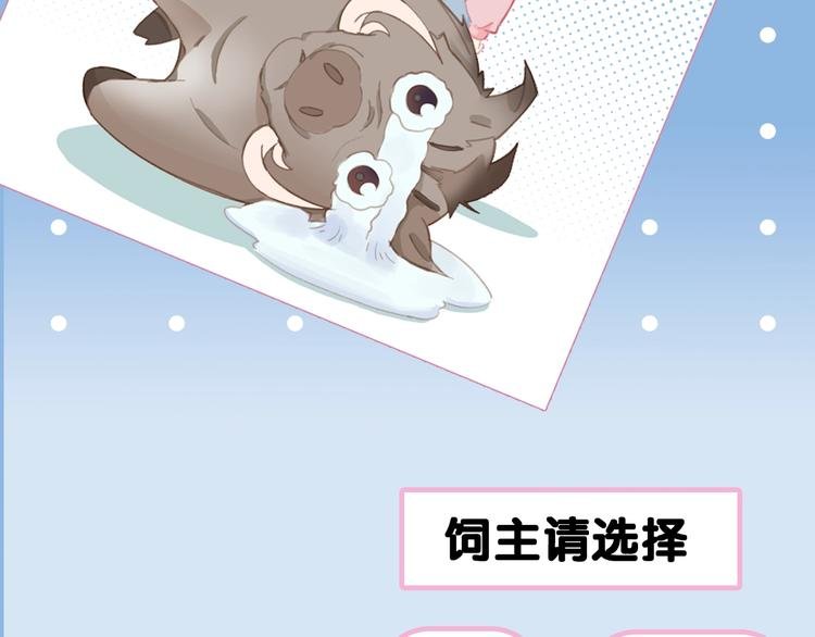 序章 元气怪力少女饲养禁欲神明