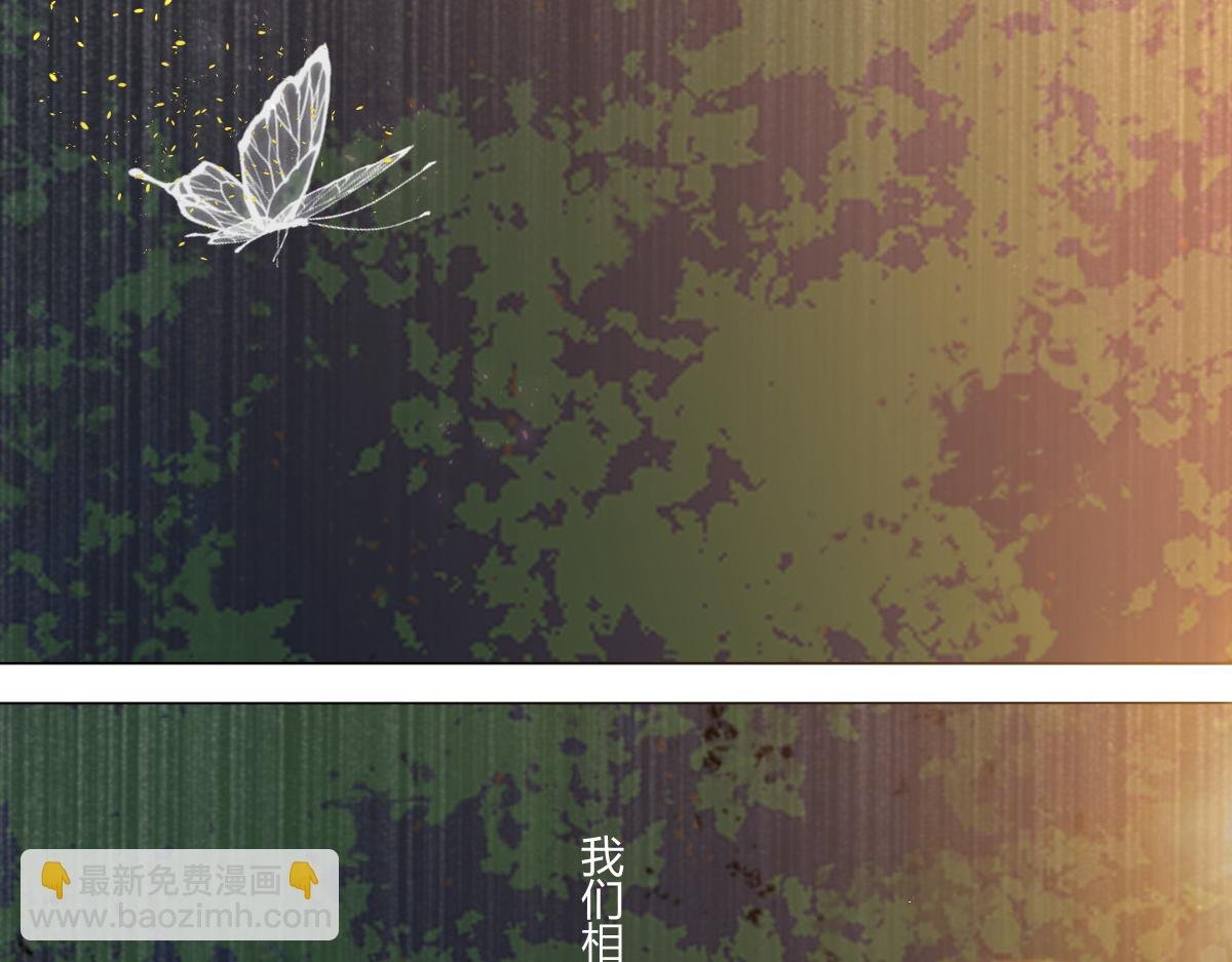 他分他散他们相识相知