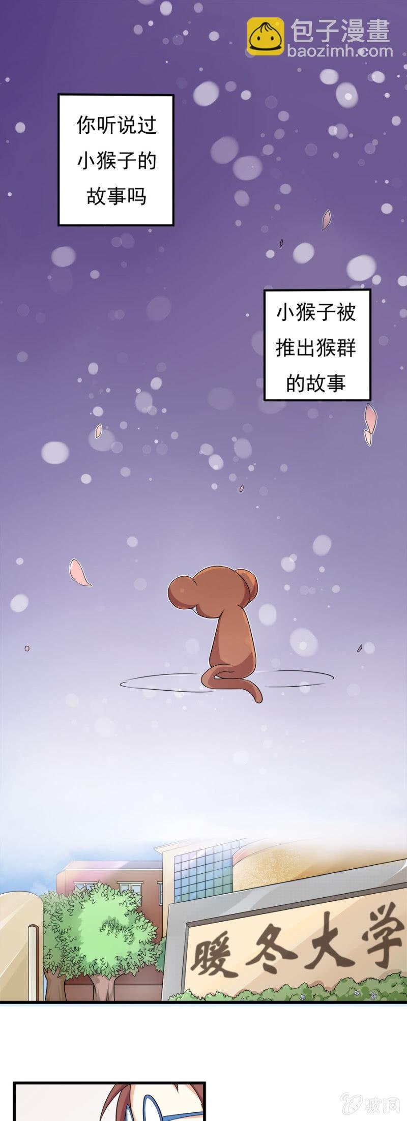 小猴子的故事