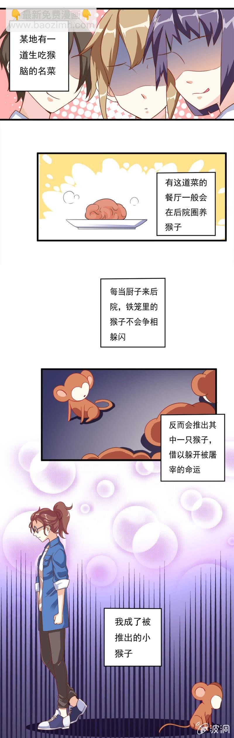 小猴子的故事