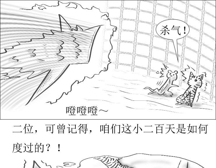 第01-12章 那个秘术