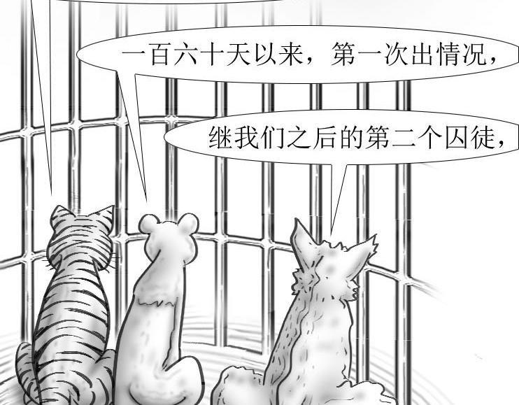 第01-10章 相逢何必曾相识