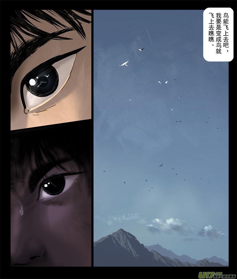 猛禽 续