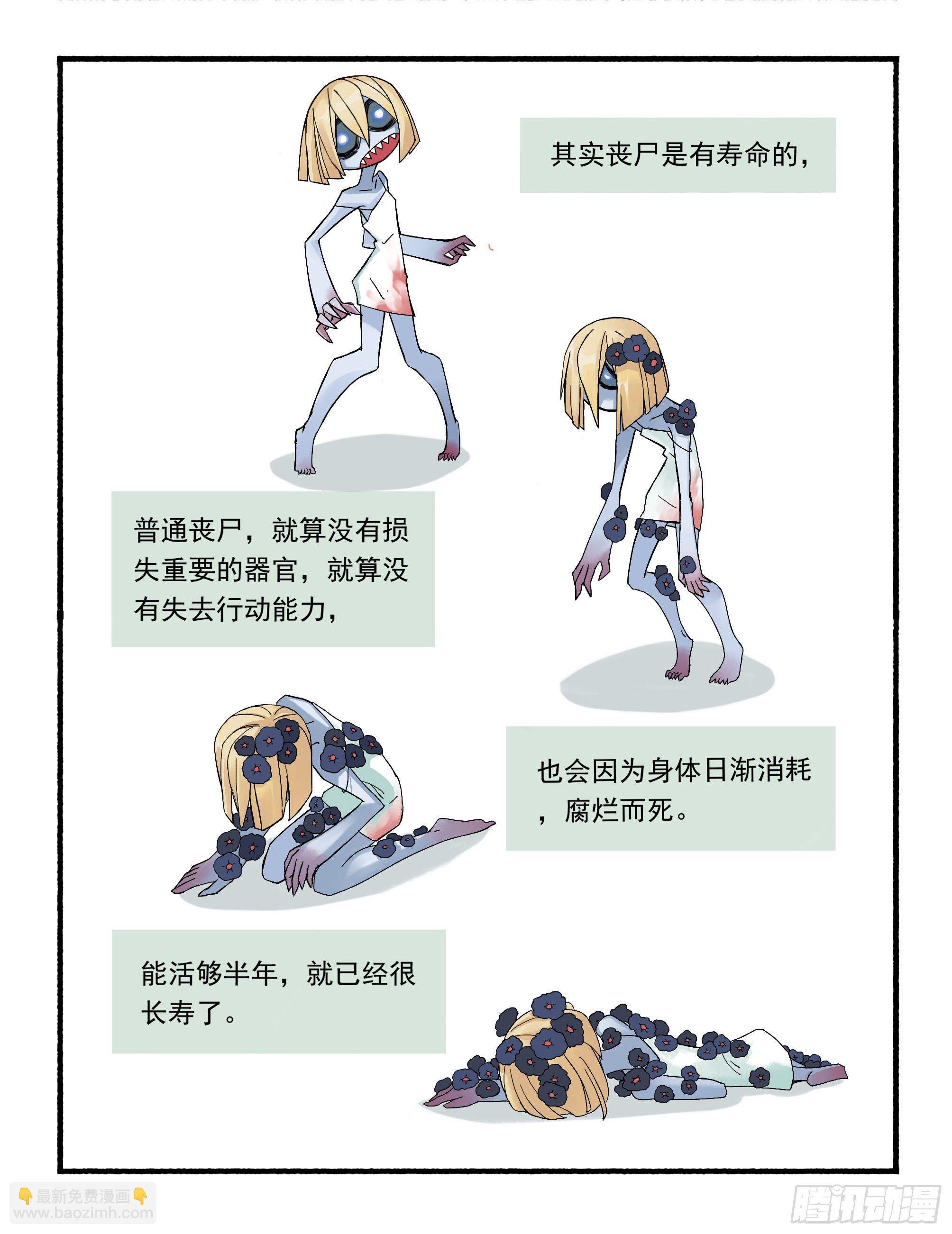 七