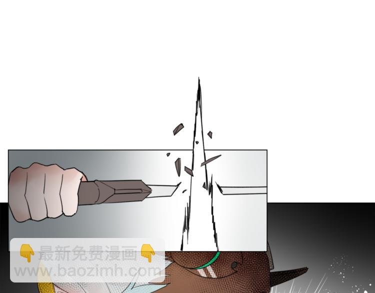 第5话 菜鸟的反击