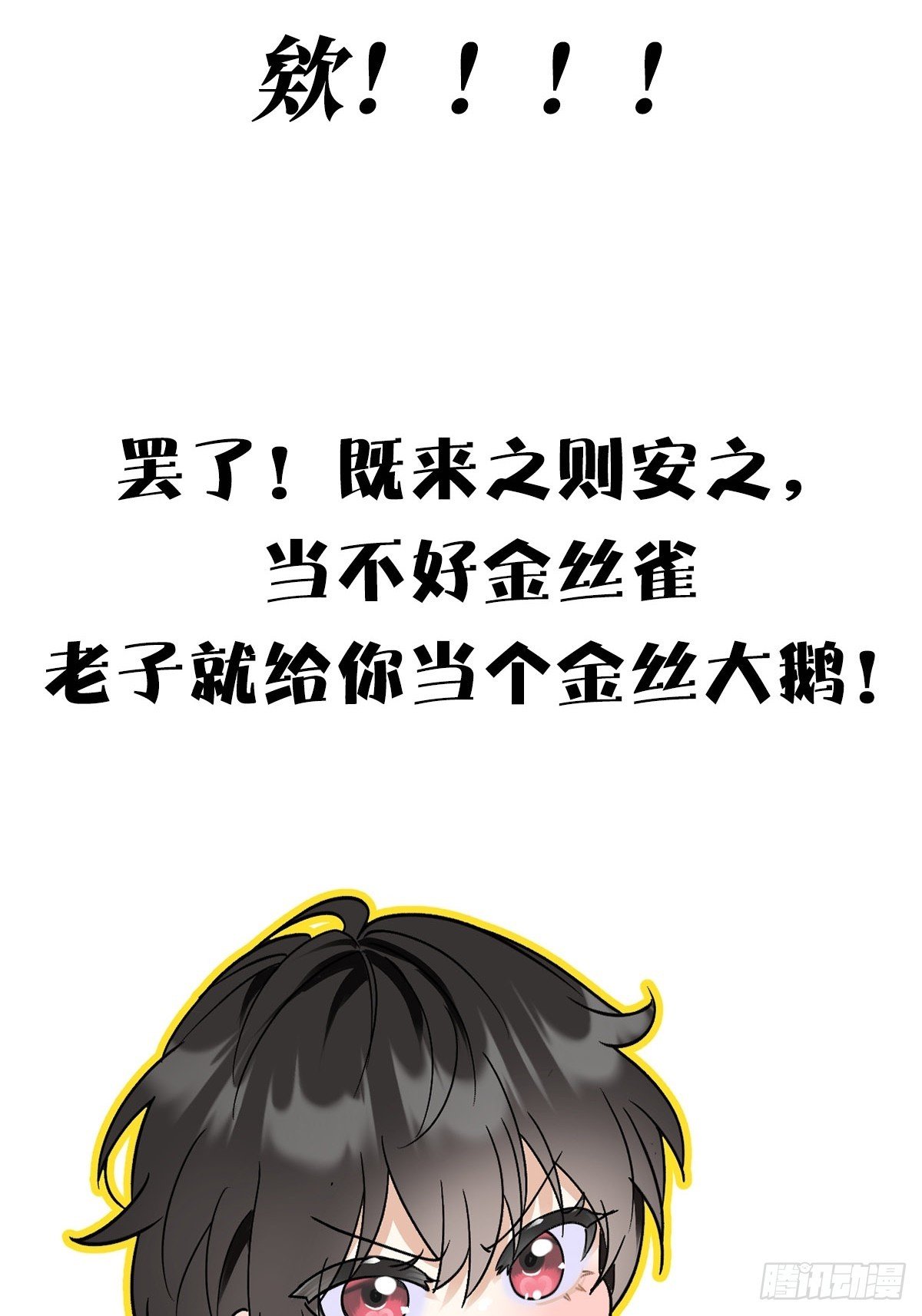 预告