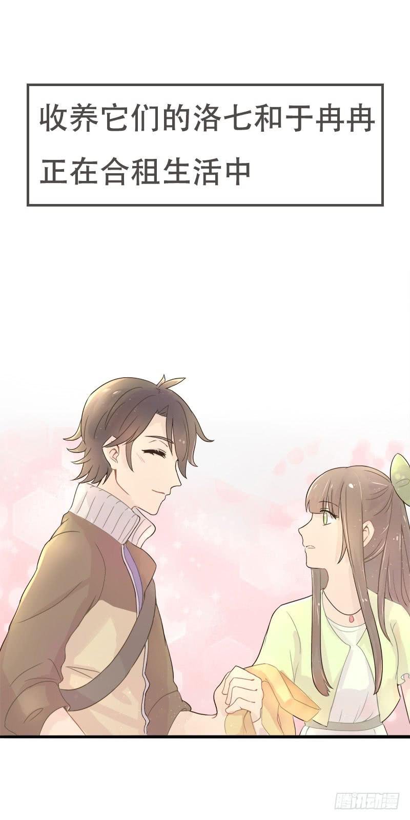 预告