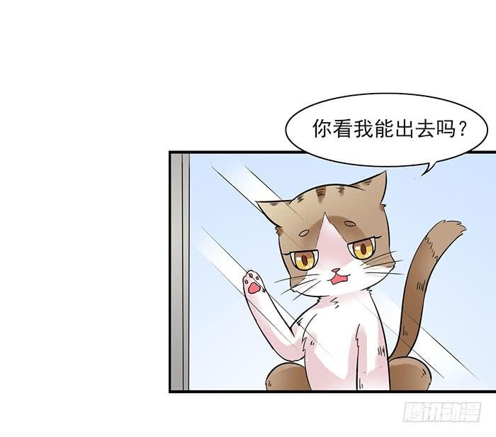 第011话