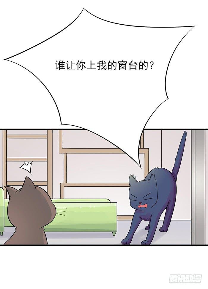 第011话
