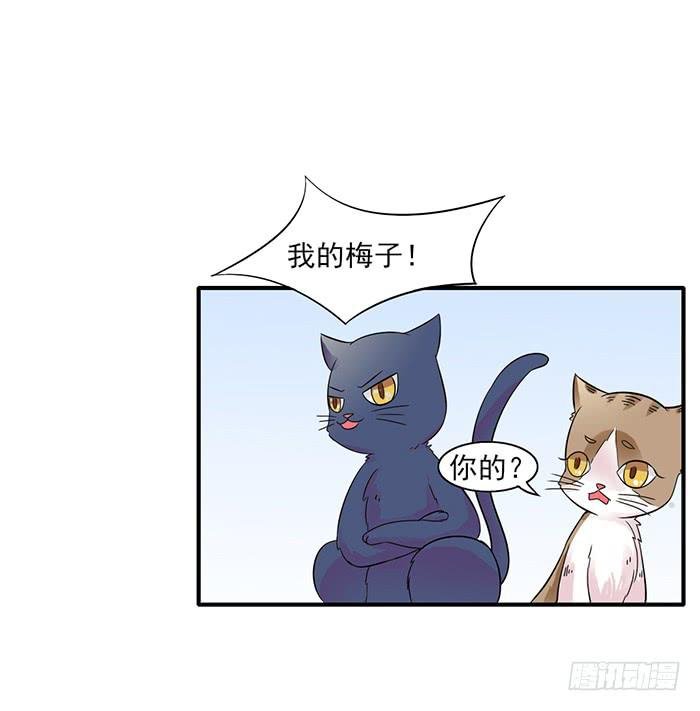 第011话