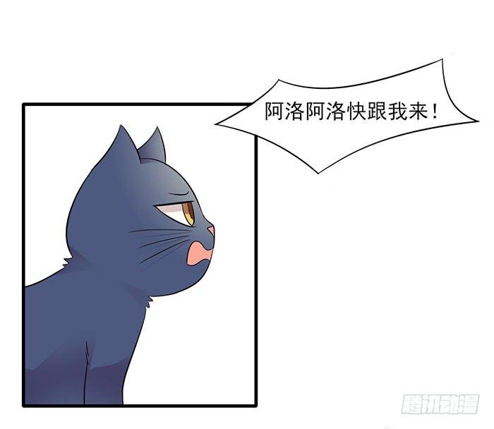 第011话