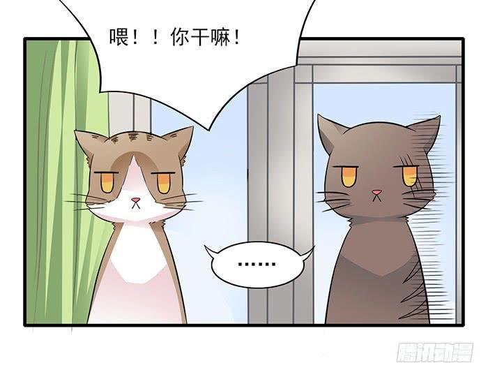第012话