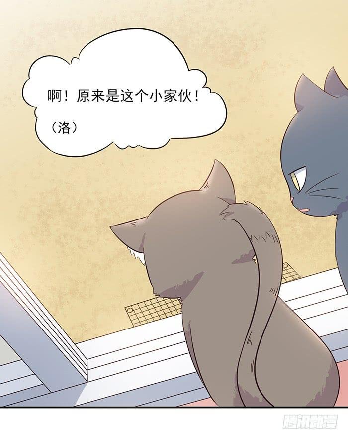 第013话