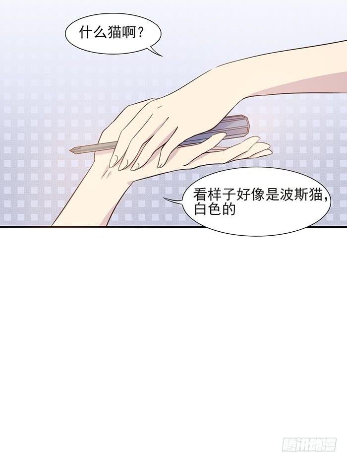 第013话