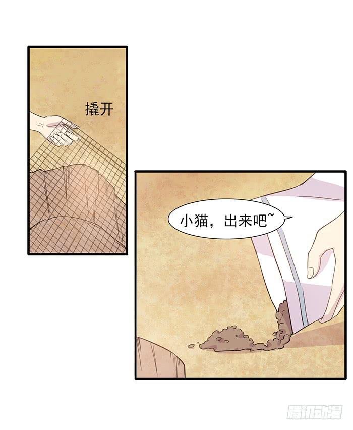 第013话
