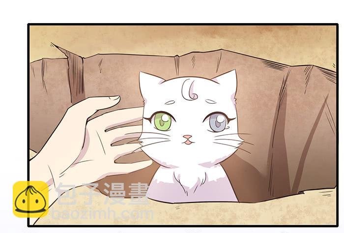 第013话