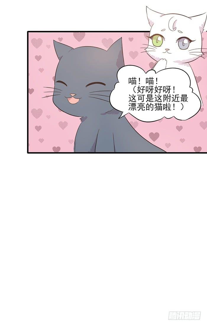 第013话
