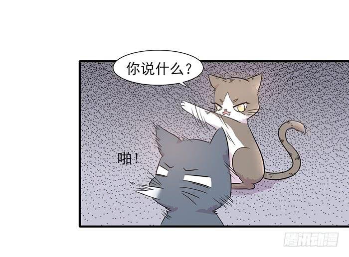 第013话